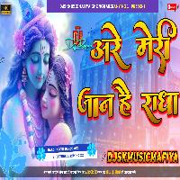 Meri Jaan Hai Radha Janmashtami Mix HardBass Remix DjSkMusicMafiya